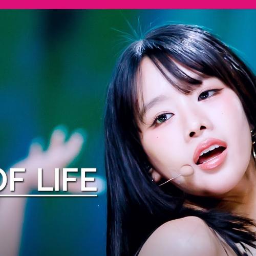 [MPD직캠] 키스오브라이프 나띠 직캠 4K 'Lips Hips Kiss' (KISS OF LIFE NATTY FanCam) | @MCOUNTDOWN_2025.6.19