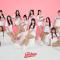 SSG랜더스의 승리를 함께 외칠 응원단 📣ㅣ2025시즌 치어리더 M/V 티저