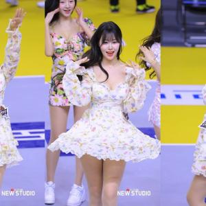 청순컨셉 그렇지 못한 섹시도아 250311 김도아치어리더 코트공연 직캠