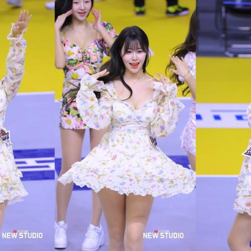 청순컨셉 그렇지 못한 섹시도아 250311 김도아치어리더 코트공연 직캠