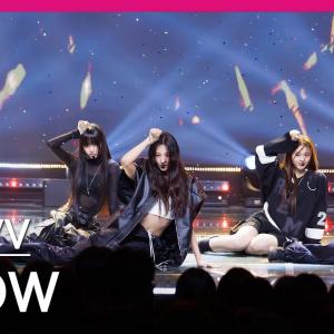 미야오 그룹은 전부 끼가 어마어마함 거를타선이 없음