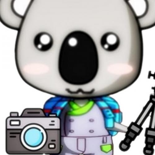 개추하는 직캠 유튜버 (koala LEE)