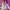 엉덩이 컨트롤이 대단한 이안 #하투하 #하츠투하츠 #kpop #직캠 #ian