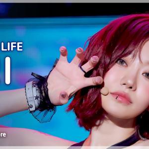 [#음중직캠] KISS OF LIFE JULIE (키스 오브 라이프 쥴리) – k bye FanCam | 쇼! 음악중심 | MBC250628