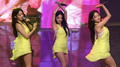 개인적으로 최고라고 생각하는 노지 직캠 레전드...mp4