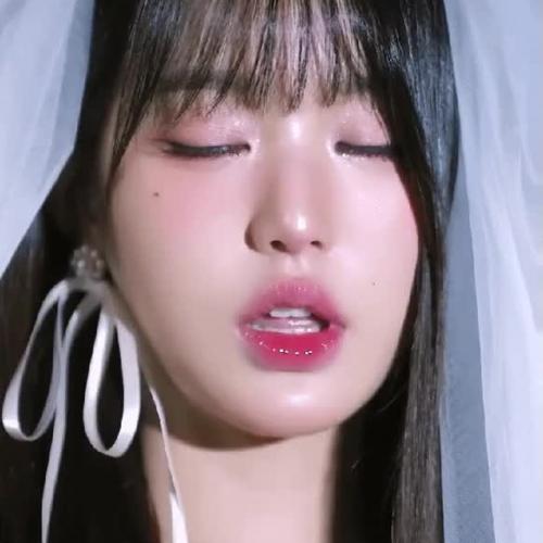 구설수 X UFC X 오직 직붕이들을 위해