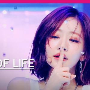 [입덕직캠] 키스오브라이프 쥴리 직캠 4K 'Lips Hips Kiss' (KISS OF LIFE JULIE FanCam) | @MCOUNTDOWN_2025.6.12