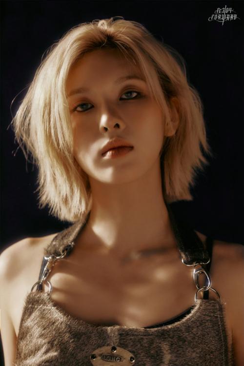 여보야 버블 너무 좋대