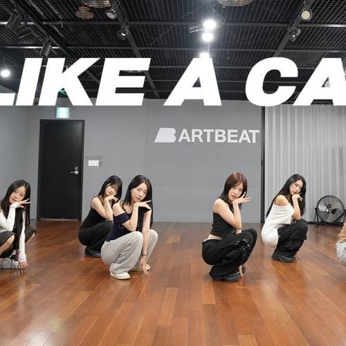 AOA - 사뿐사뿐 (Like a Cat) | 커버댄스 Dance Cover | 연습실 Practice ver.