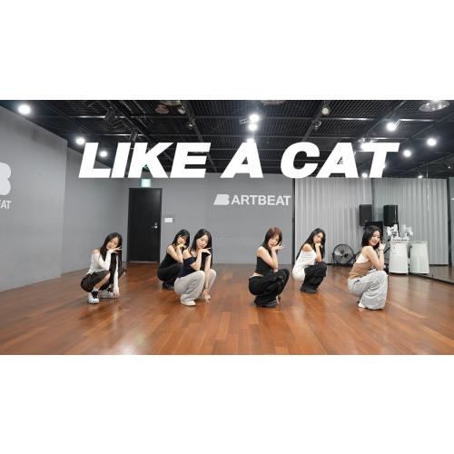AOA - 사뿐사뿐 (Like a Cat) | 커버댄스 Dance Cover | 연습실 Practice ver.