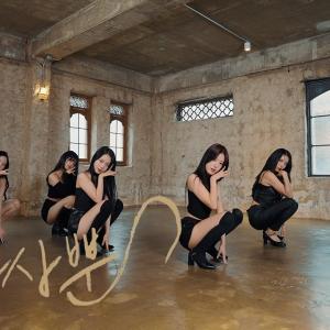 [AB PRODUCER] AOA - 사뿐사뿐 (Like a Cat) | 커버댄스 Dance Cover