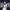 250808-10 프로미스나인 콘서트 REBELUTIONAL 박지원 직캠 [fancam | multicam]
