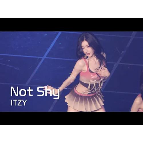 [ITZY(있지)] 260213 TUNNEL VISION in SEOUL: Not Shy - CHAERYEONG 채령 FANCAM